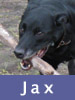 Jax
