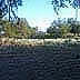 View From Dumpster. Hi Farmer John!