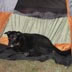Jax's home away from home
